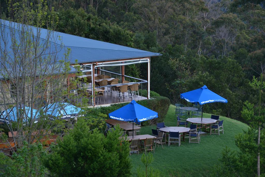 Spring Creek Mountain Cafe & Cottages Killarney Exterior foto