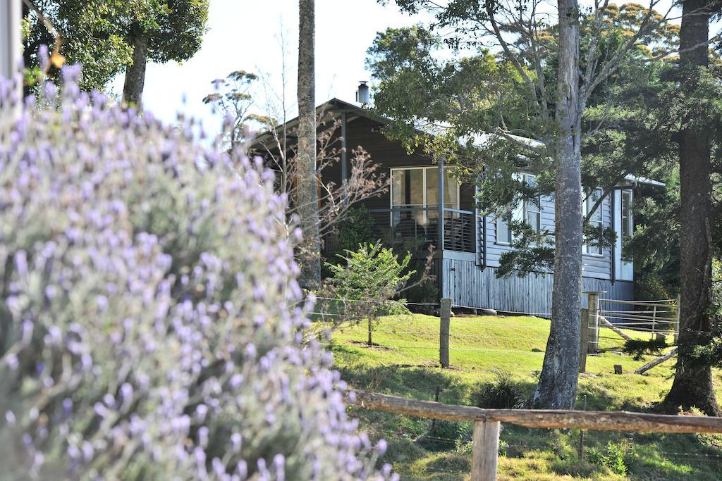 Spring Creek Mountain Cafe & Cottages Killarney Exterior foto