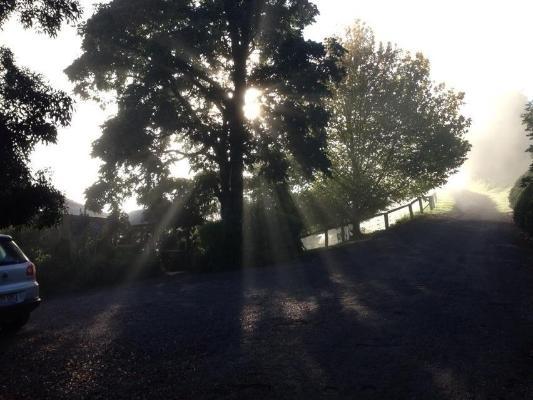 Spring Creek Mountain Cafe & Cottages Killarney Quarto foto