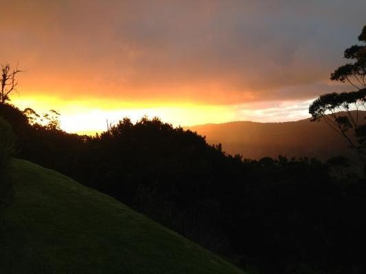 Spring Creek Mountain Cafe & Cottages Killarney Quarto foto